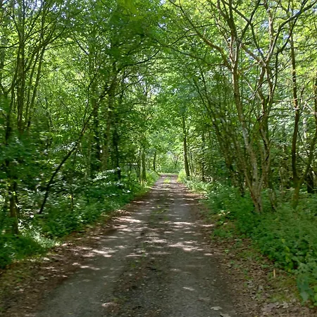 בית נופש Rosenby Hytten דרונינגלונד